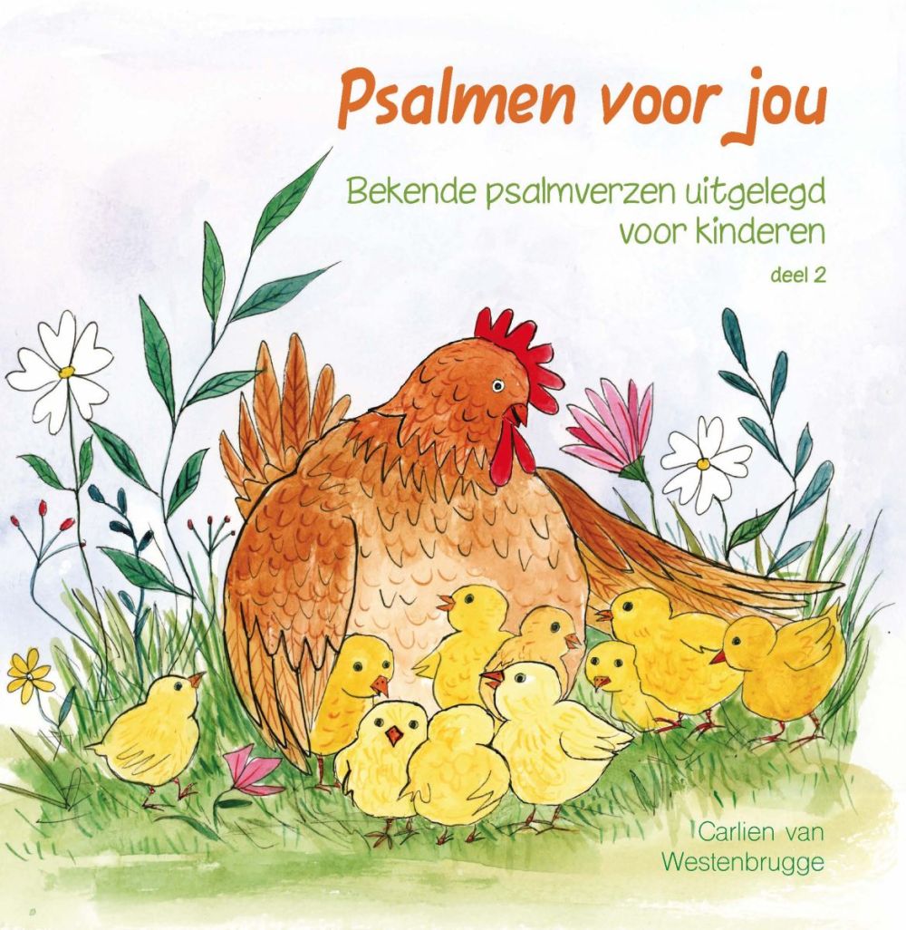 Psalmen voor jou - deel 2